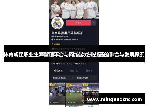 体育明星职业生涯管理平台与网络游戏挑战赛的融合与发展探索