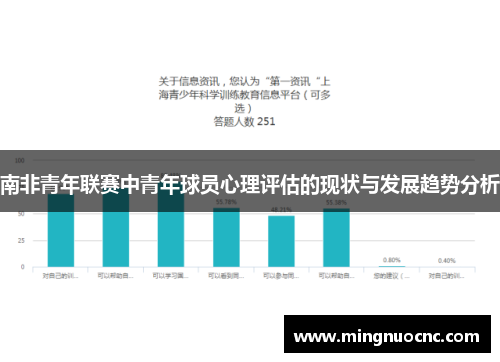 南非青年联赛中青年球员心理评估的现状与发展趋势分析
