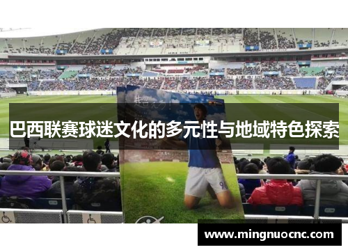 巴西联赛球迷文化的多元性与地域特色探索