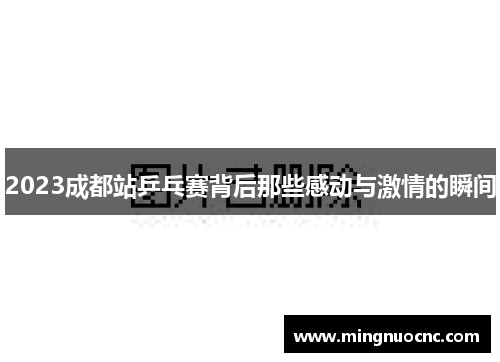 2023成都站乒乓赛背后那些感动与激情的瞬间