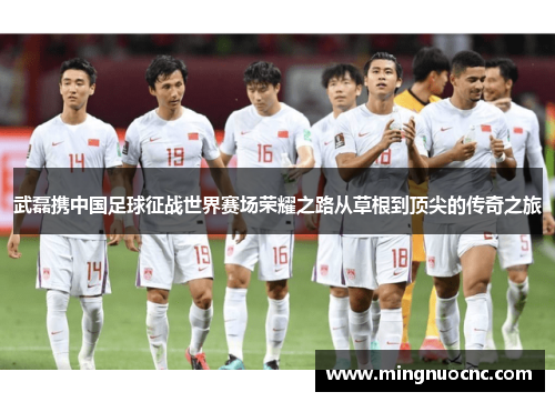 武磊携中国足球征战世界赛场荣耀之路从草根到顶尖的传奇之旅