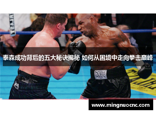 泰森成功背后的五大秘诀揭秘 如何从困境中走向拳击巅峰