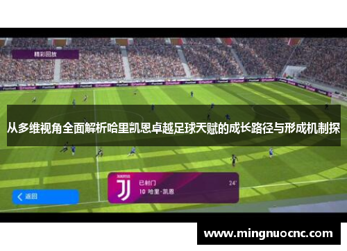 从多维视角全面解析哈里凯恩卓越足球天赋的成长路径与形成机制探